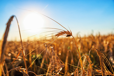 Стартовал прием заявок на программу "Женщина-лидер. Север и Дальний Восток"